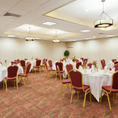 Holiday Inn Shreveport Downtown by IHG thumbnail 19