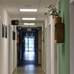 Hotel Garni Fischerfleck - Bild 14