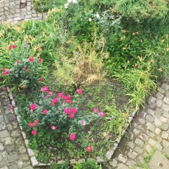 L'académie de Clémence, Guest House Paris-Roland-Garros - Bild 7