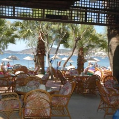 Sami Plaza - Bild 8
