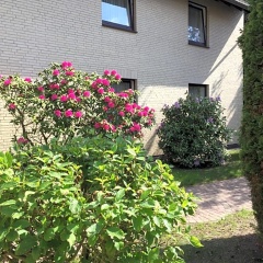 Hotel Schnarr - Bild 13