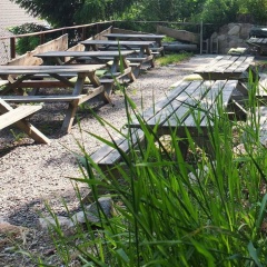 Action Forest Hotel - Bild 9