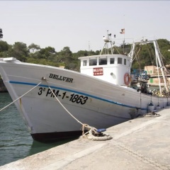 LLEVANT - Bild 18