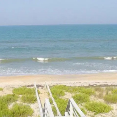 Tara's Haven thumbnail 5
