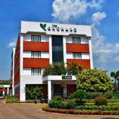 The Orchard thumbnail 1