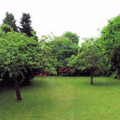 Villa Ratingen - Bild 9