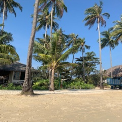 Phi Phi Little Star Resort - Bild 10