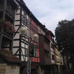 FeWo Sulzer Siedlung Erfurt - Bild 1