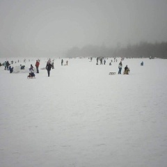 Tier FeWo Zell - Bild 6