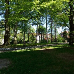 Villa Ephraim - Bild 8