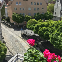 #1 AUGSBURG luxurious old town apartment in absolute central location - Bild 15