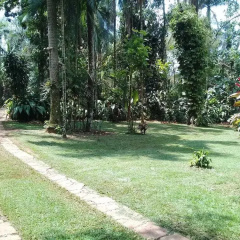 Yaguarete Lodge thumbnail 18