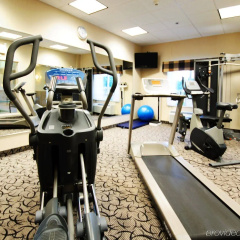Holiday Inn Express Hotel & Suites Ottawa Airport by IHG