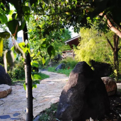 wooden Edge Of The Village thumbnail 2