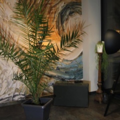Hotel Eulensteins - Bild 15