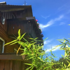 Landhaus am Kunstberg - Bild 11