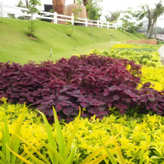 The Canal Garden Resort thumbnail 37