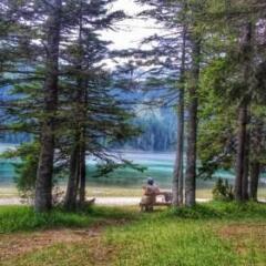 Apartments Bulatovic in Zabljak, Montenegro from 74$, photos, reviews - zenhotels.com photo 14
