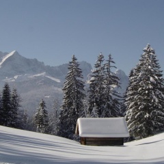 Hotel Königshof - Bild 23