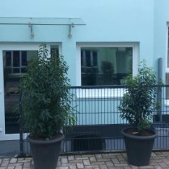 Patio 2 - Bild 10