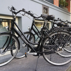 The Hendrick's Hotel - Bild 19