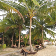 Sunset Beach Resort thumbnail 30