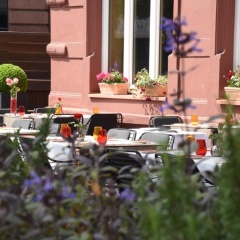 Kleiner Rosengarten - Bild 8