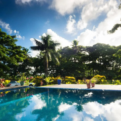 Taveuni Dive Resort thumbnail 24