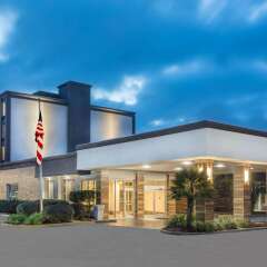 Wyndham Garden Summerville in Summerville, United States of America from 149$, photos, reviews - zenhotels.com photo 13