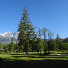 Отель Wili Tatry Apartments Словакия, Герлахов - отзывы, цены и фото номеров - забронировать отель Wili Tatry Apartments онлайн фото 10