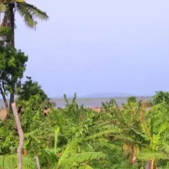 The Residence Nilaveli thumbnail 12