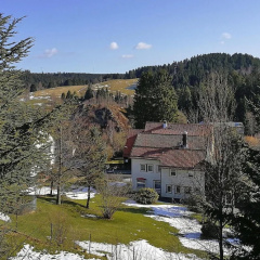 Geraumige Wohnung in Altenau mit Terrasse - Bild 14