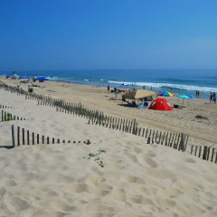 The Quay by KEES Vacations thumbnail 13