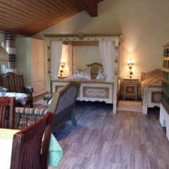 Schwarzwald - Villa Appartments Titisee - Bild 1