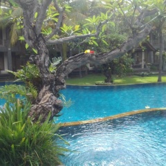 Nirwana Seaside Cottages - Bild 6