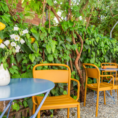 Alma Hotel - Boutique hideaway by the lake with rooftop and ladies-only wellness - Bild 18