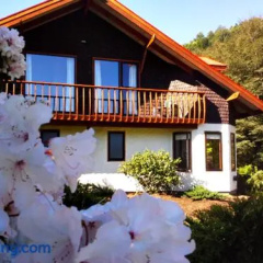 Hotel Salto del Carileufu photo 2