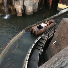 Apartamento Jardin de Santa Paula - Bild 12