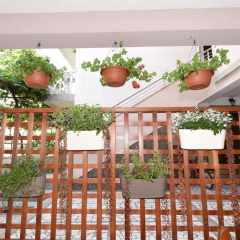 Guest House Zec thumbnail 27