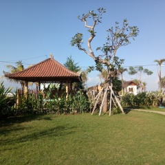 Emir surfcamp - Bild 7
