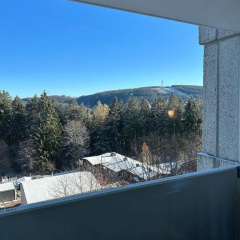 Bocksbergblick Appartement 507 im Ferienpark Hahnenklee Haus 1 - Bild 7