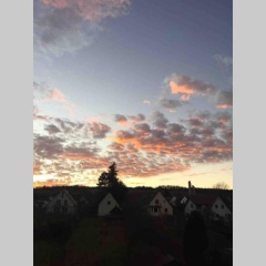 Helle 2-Zimmerwohnung Am Stadtrand (Adults Only) - Bild 7