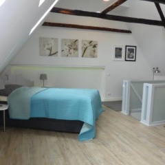 Meeresleuchten - Bild 6