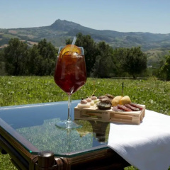 Tenuta Saiano thumbnail 8