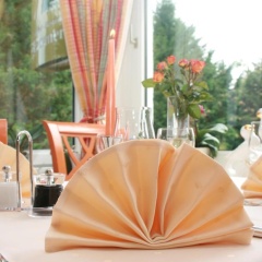 Hotel Restaurant Fasanerie - Bild 10
