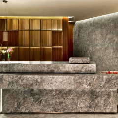 The St. Regis Istanbul thumbnail 31