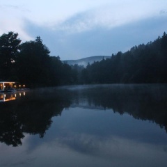 Carpe Diem - Bild 6