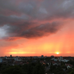 Ferienwohnung-Freiburg-Exklusiv - Bild 19