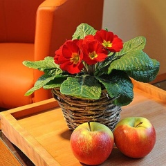 Brunneck - Bild 2