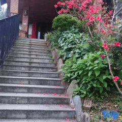 Terrace Villa thumbnail 17